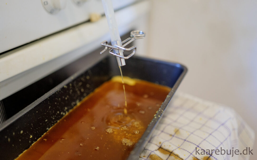 Honnin­ge­høst i&nbsp;Andelslands­by­en Nyvang