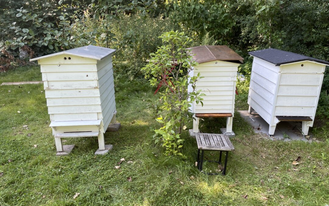 Bista­de nr 3&nbsp;er købt