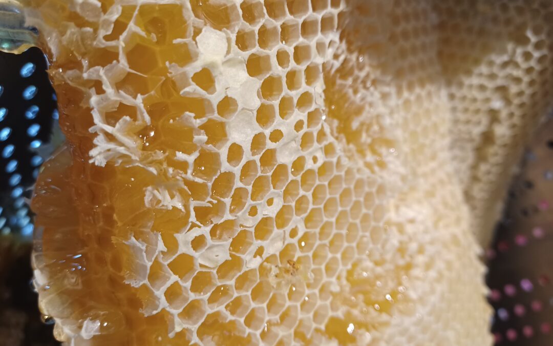 Økolo­gisk honning?