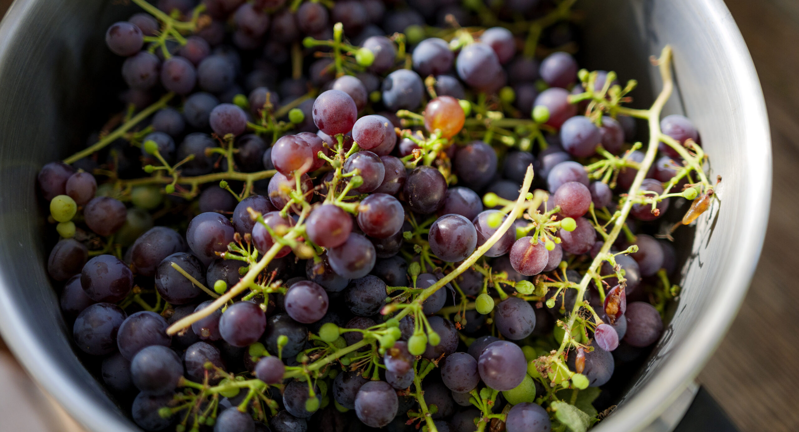 Vindruer i en gryde