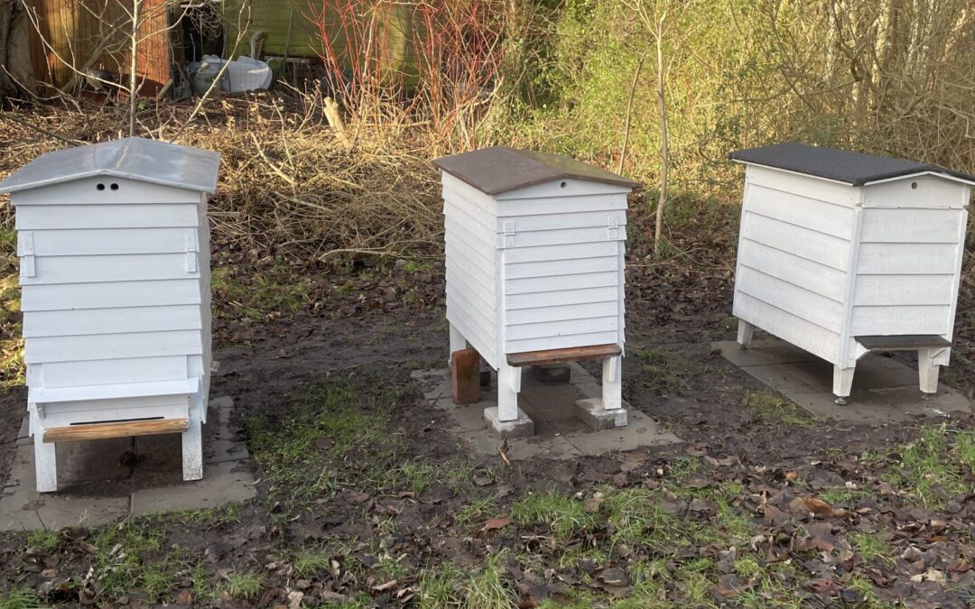 Så blev det tid til oxal­sy­re behandling