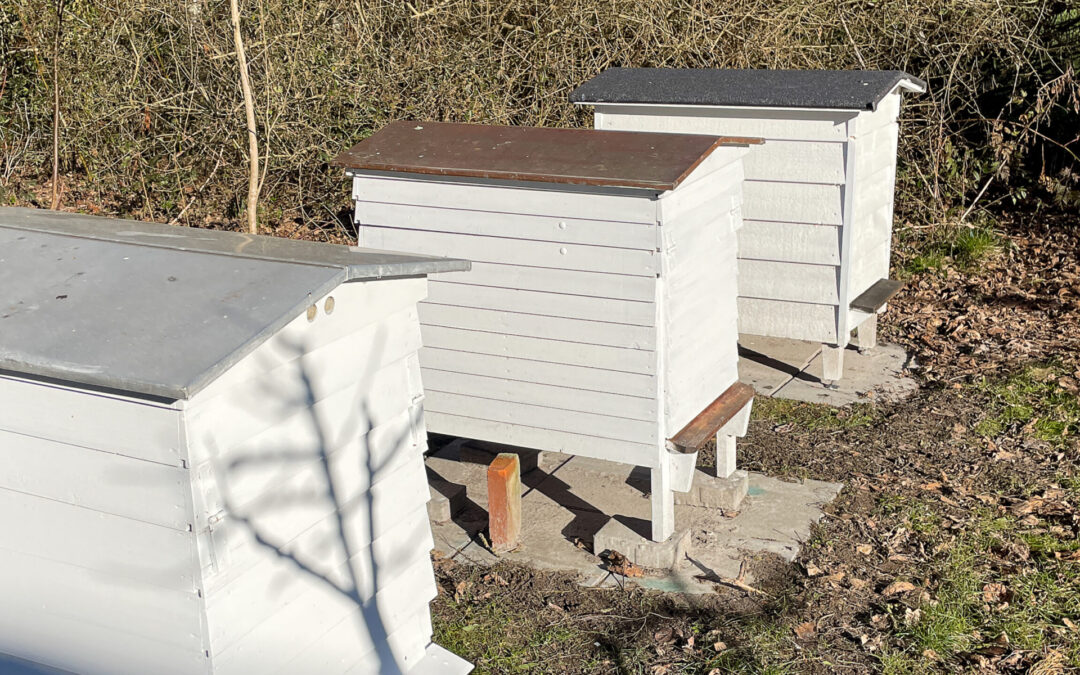 Der er stadig en del mad tilba­ge hos bierne