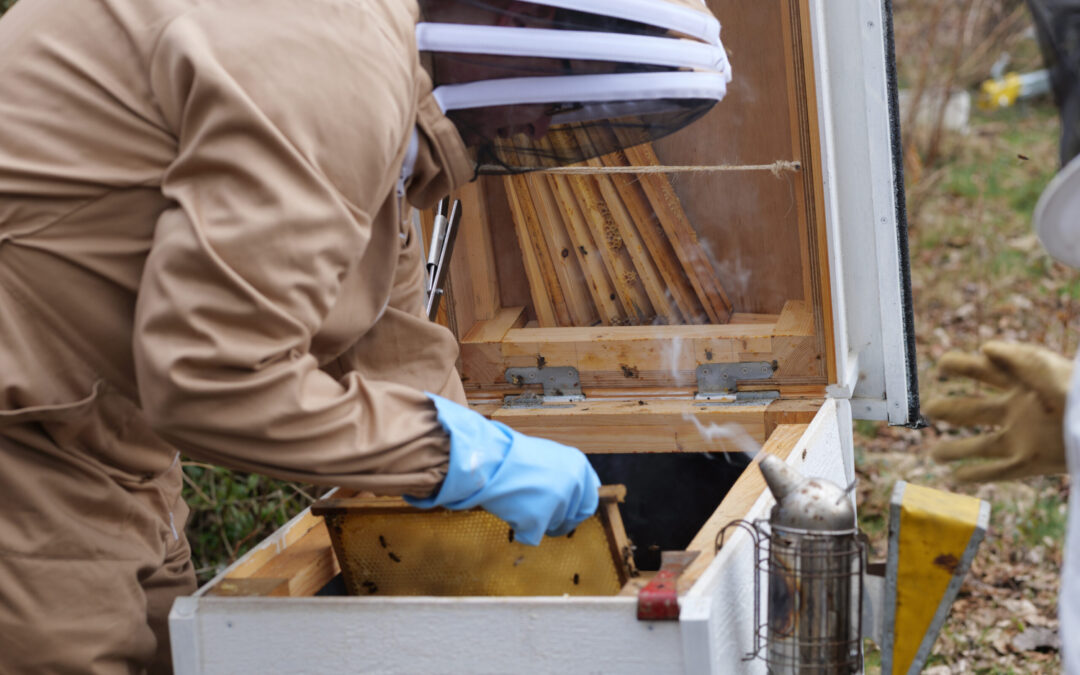 Vi rykker maden&nbsp;frem