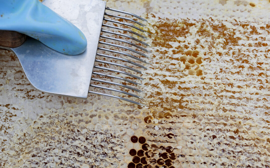 Skide­koldt og på sommertid