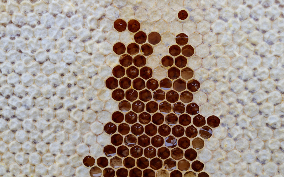 Fakta om honning og&nbsp;bier