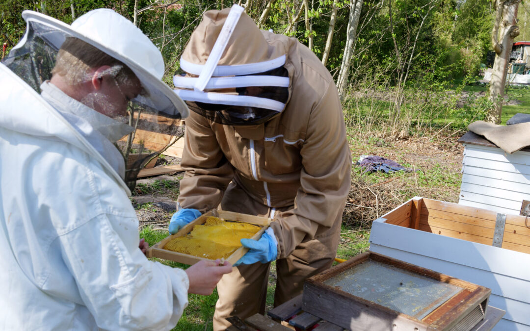 Omtav­ling af bierne