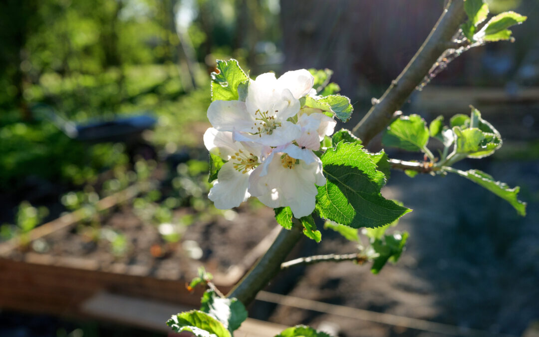 Somme­ren er nu ende­lig kommet