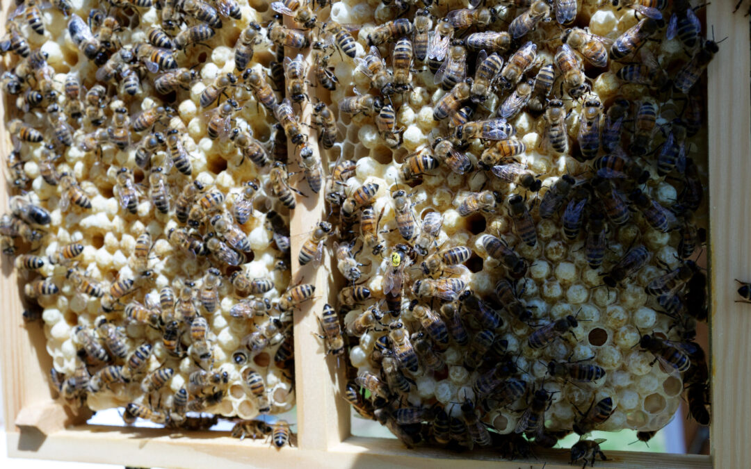 Det er snart&nbsp;høst