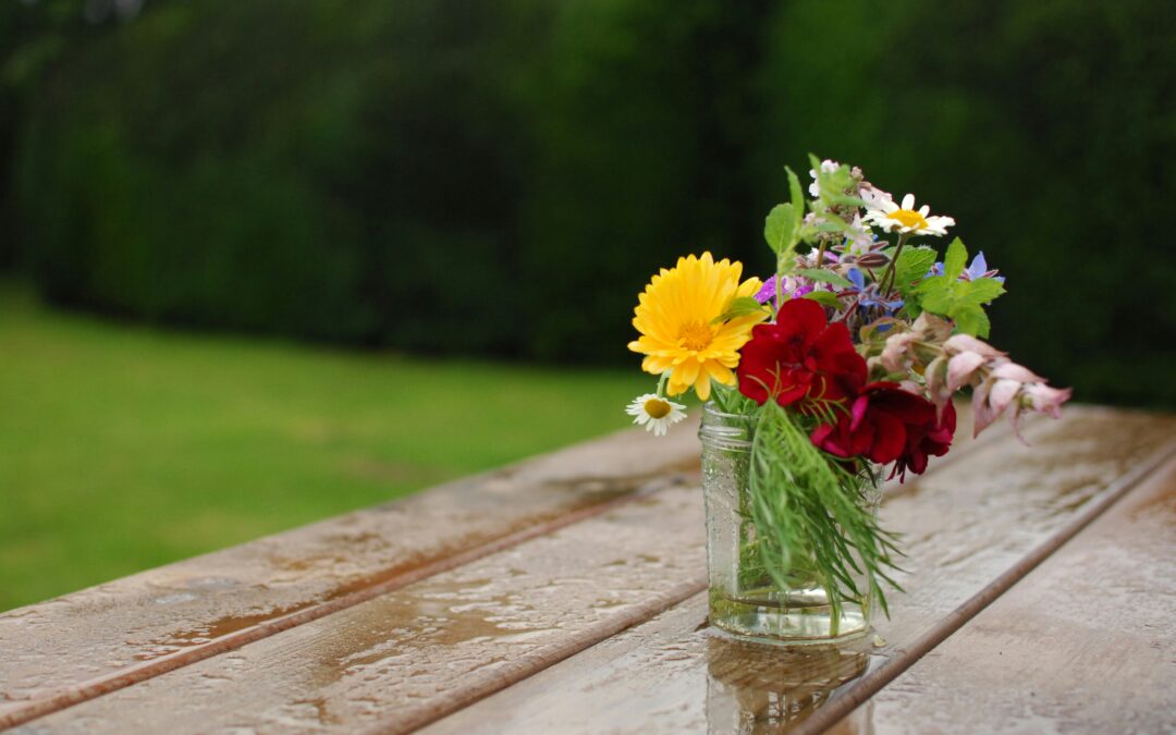 Sommer­høst udeblev