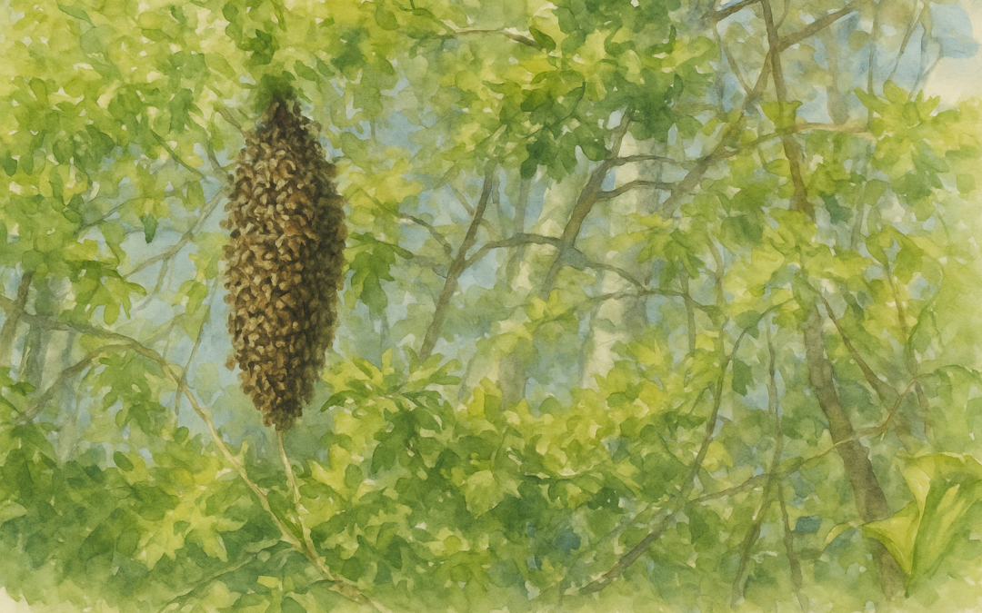 Vores aflæg­ger sværmede