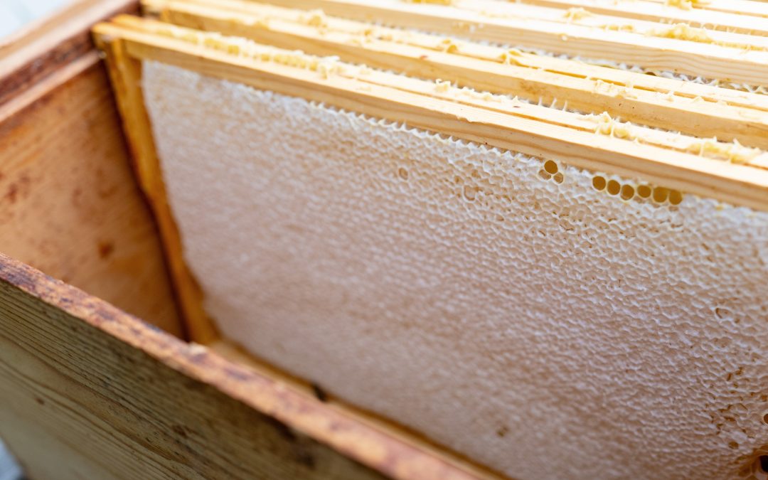 Forårs­hø­sten&nbsp;2025