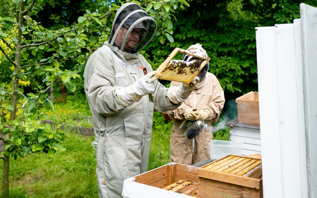 Sommer­hon­ning i&nbsp;2025 første del