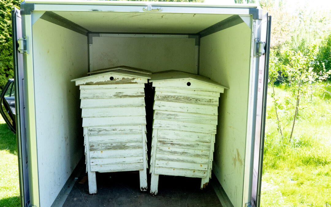 Renove­ring af lavnor­mal bista­der – sommer­pro­jekt i&nbsp;bigården